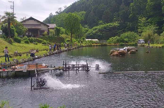 浅川国際釣り場