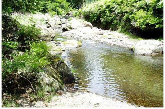 養沢毛鉤専用釣場