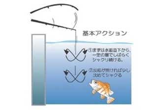 アイスジグのアクション1の画像