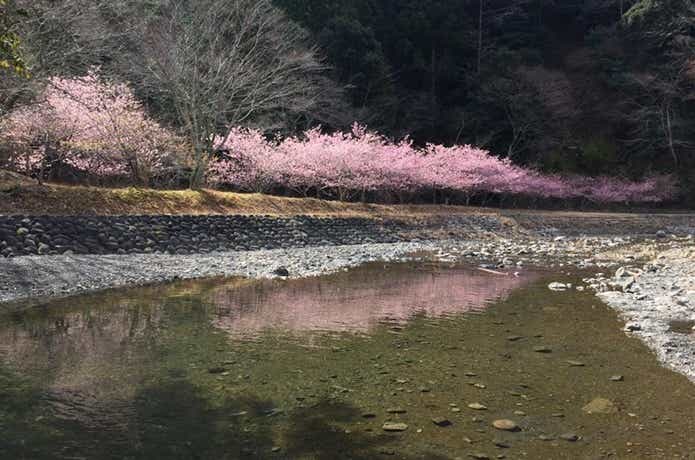 原野谷川