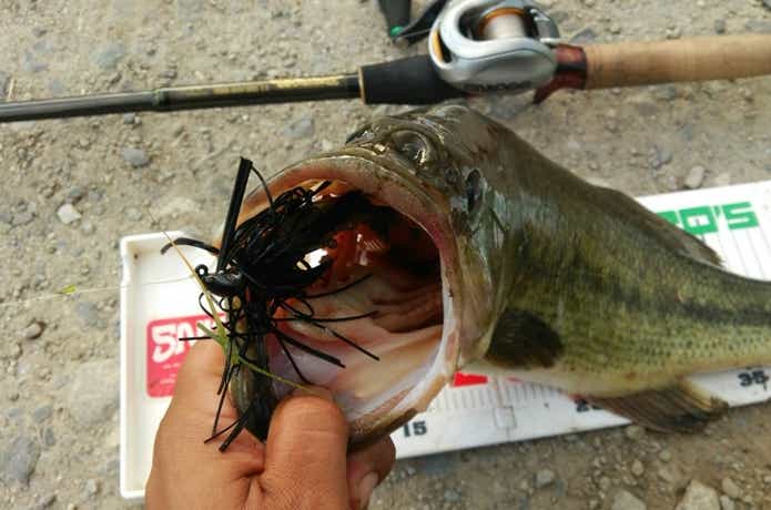 プロズファクトリーのジグで釣ったバス