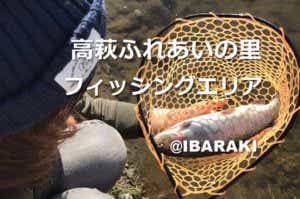 ニジマス