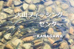 ニジマス