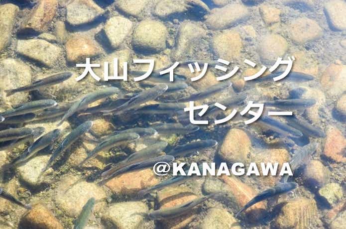 ニジマス