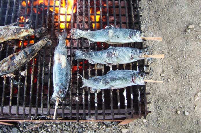 ニジマスの塩焼き