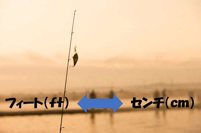 フィートとセンチの換算表の画像