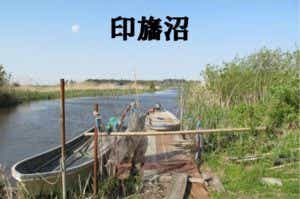 印旛沼の画像