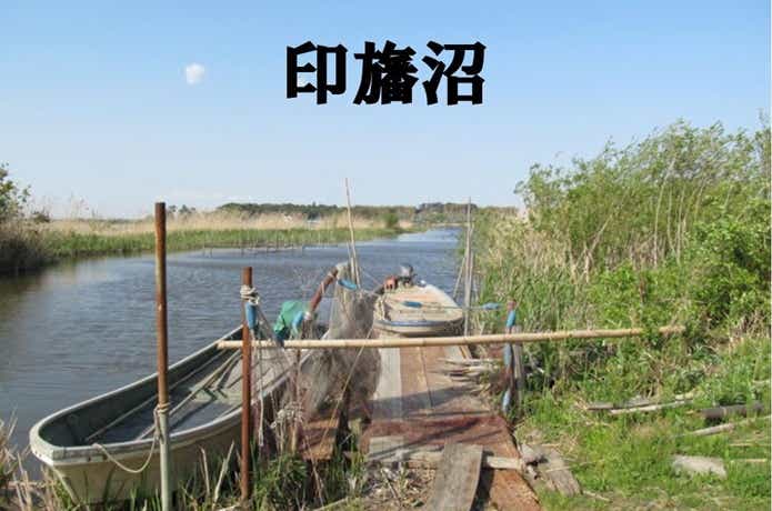 印旛沼の画像