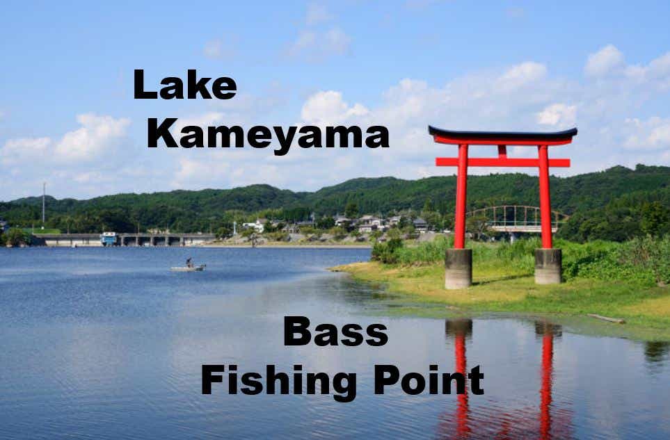 亀山ダムのバス釣りの画像