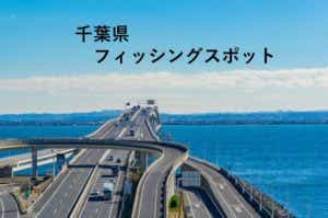 千葉県釣りの画像