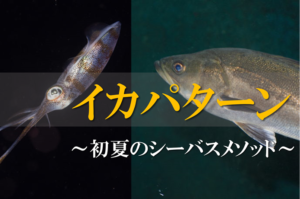 シーバス・イカパターン