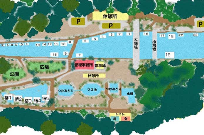 畑宿清流マス釣場の釣りエリア