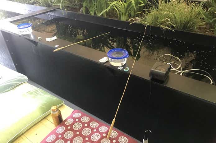 たなご館釣りの画像