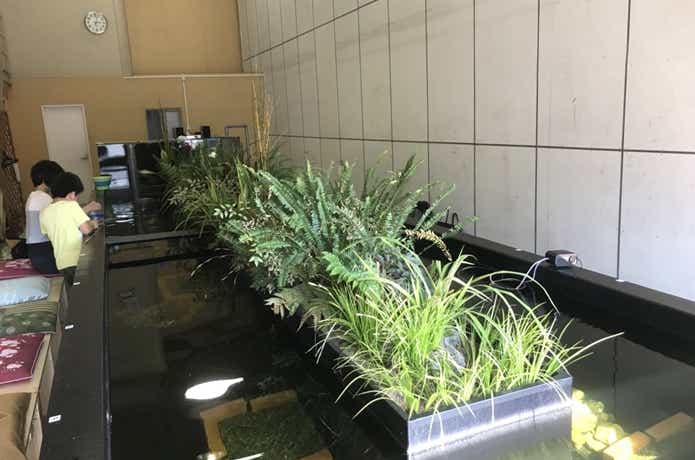 たなご館の画像