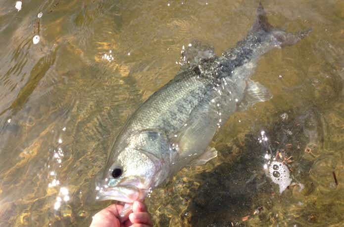 辿り着いたバス釣りの収納方法