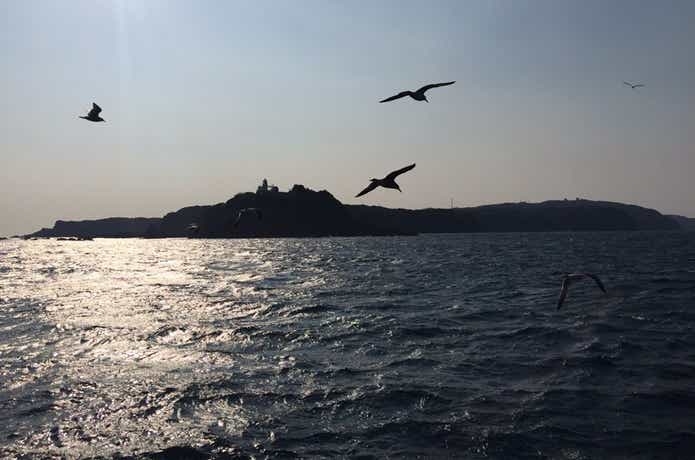 ケイムラ水深の画像