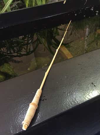 たなご釣りの画像