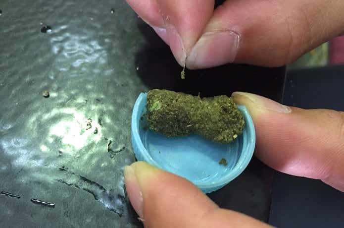 たなご釣りエサの画像