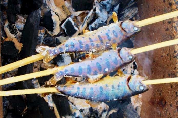 ヤマメの塩焼き