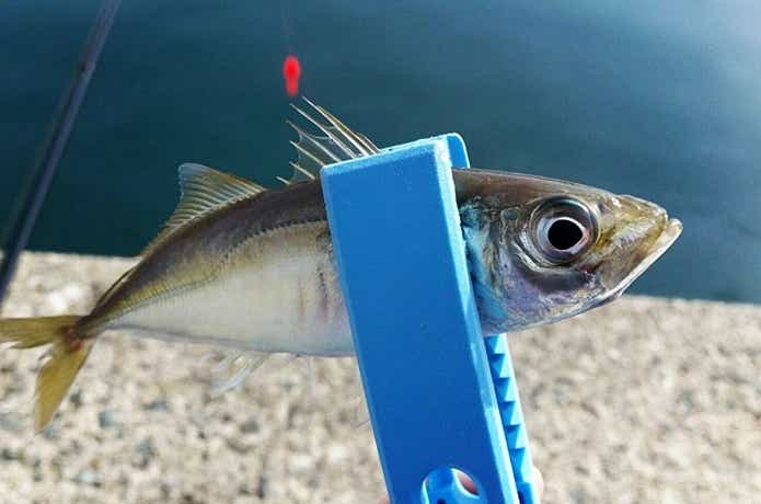 サビキ釣り