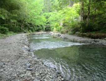 大丹波川国際虹ます釣場