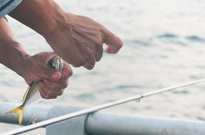 サビキ釣り