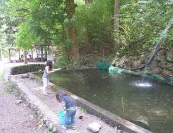 境渓谷キャンプ釣り場