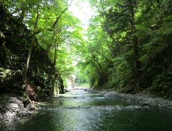 大丹波川国際虹ます釣場