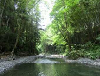大丹波川国際虹ます釣場