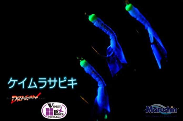 ケイムラサビキの画像