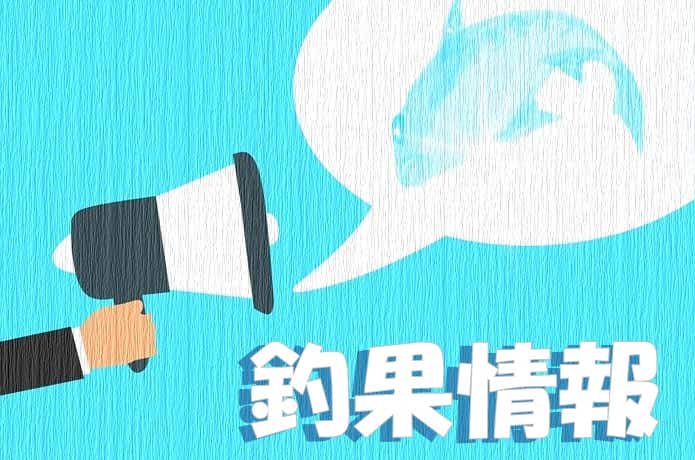 釣果情報