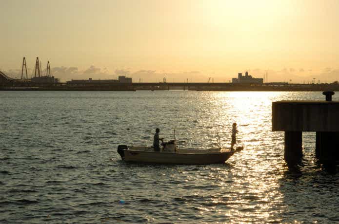 名古屋港シーバスガイドの画像