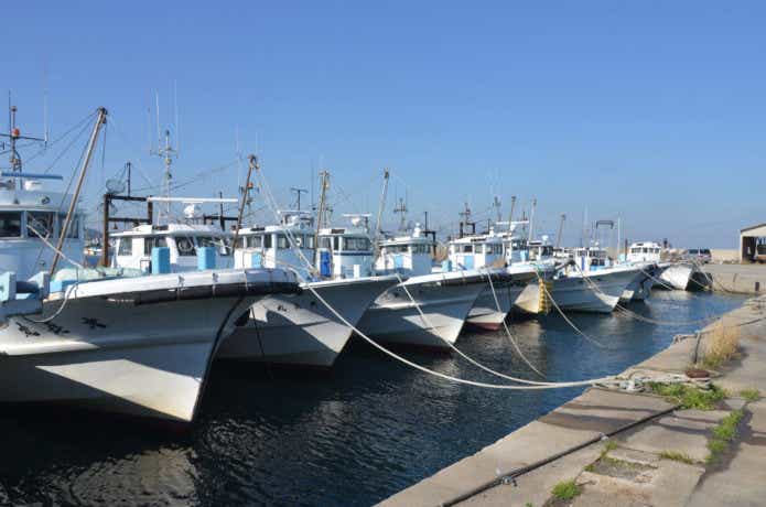 日間賀島　船釣り