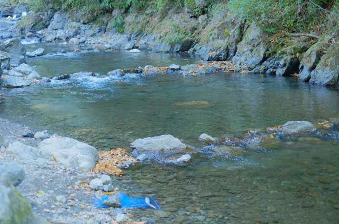大丹波川国際虹ます釣り場の画像