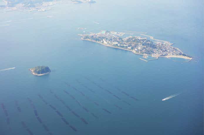 日間賀島　釣り