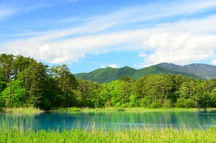 新緑と湖