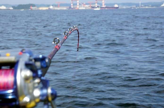 釣竿を見つめる釣り人