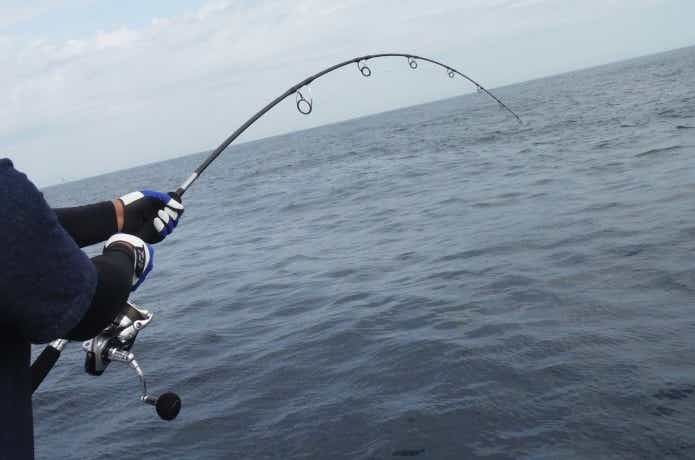 マグロタックル