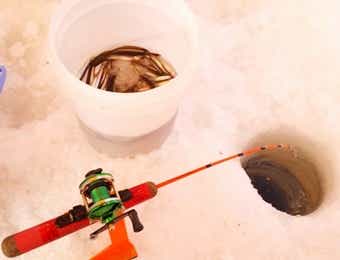 ワカサギ釣り