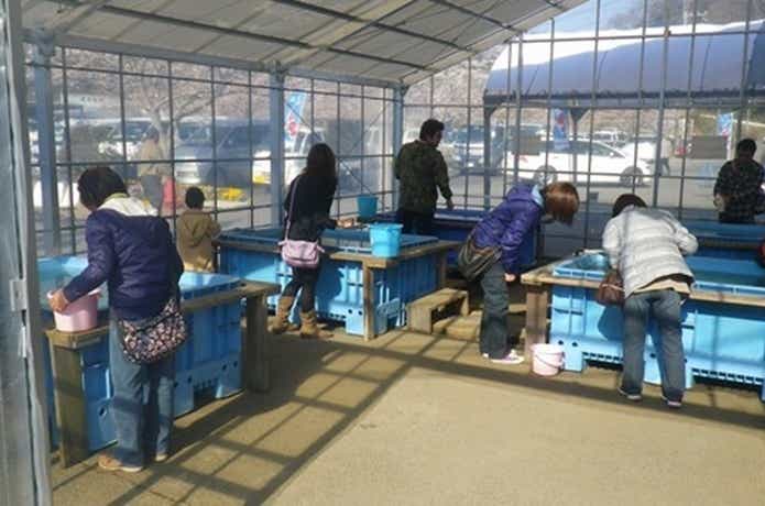 谷養魚場のミニ釣り堀