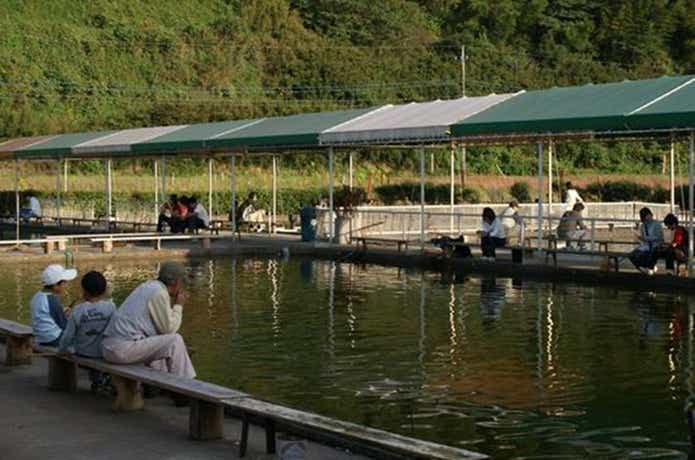 谷養魚場