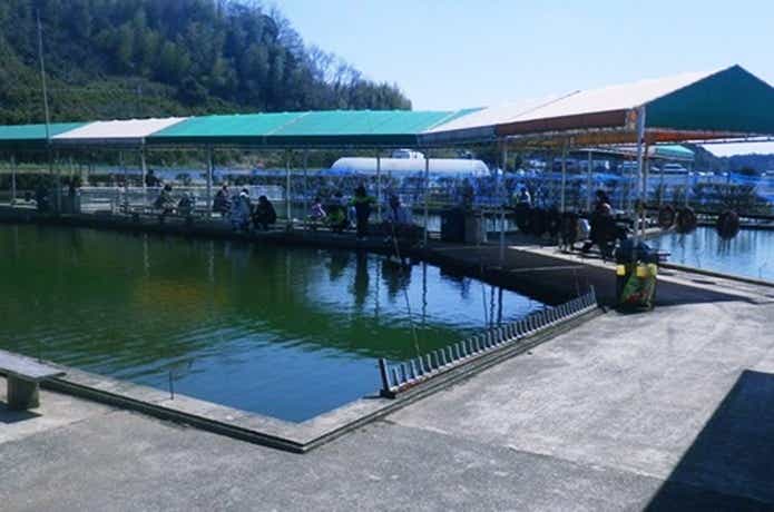 谷養魚場
