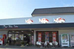 谷養魚場