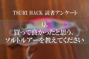 ソルトルアーのランキング