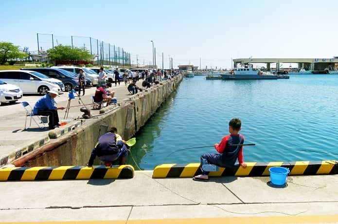 昼の港
