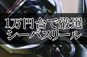 １万円台のスピニングリール