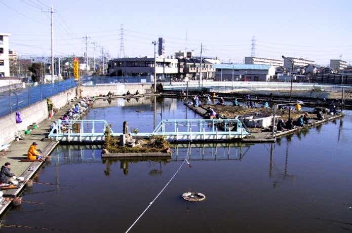 上尾園