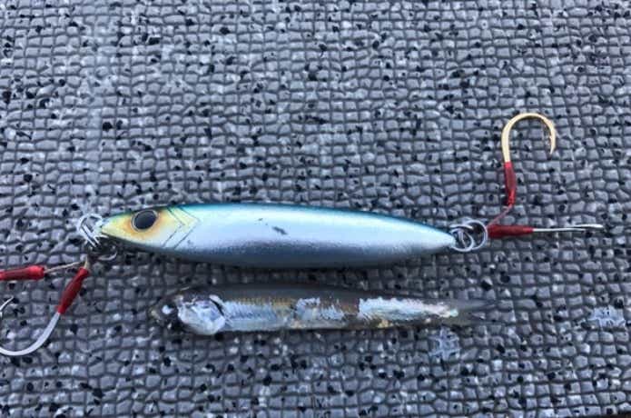 ただ巻きでバイトを誘発する「メタボスイマー」の使い方は本当に