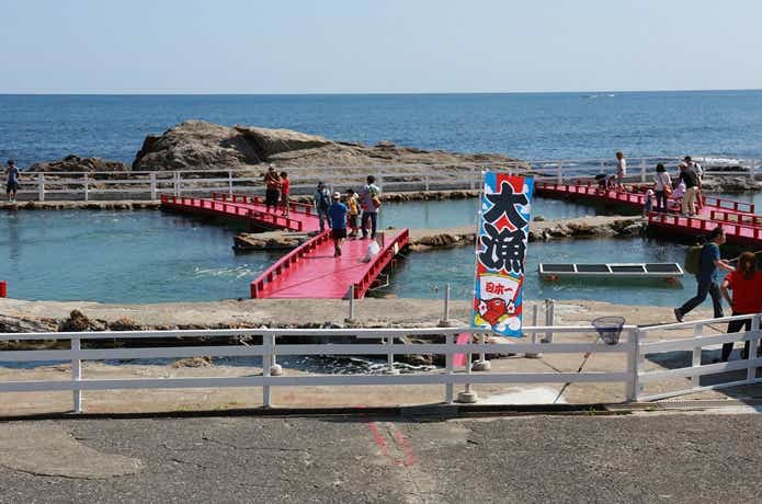 太海フラワー磯釣りセンター