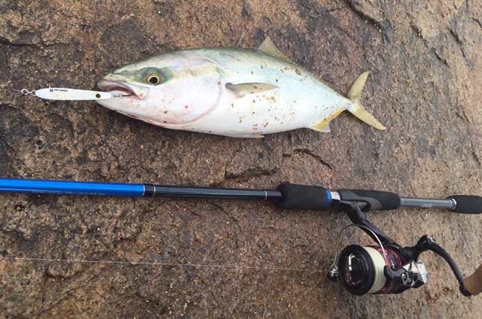 海のルアー釣り【難易度別】ターゲット21選！自分にぴったりな魚を